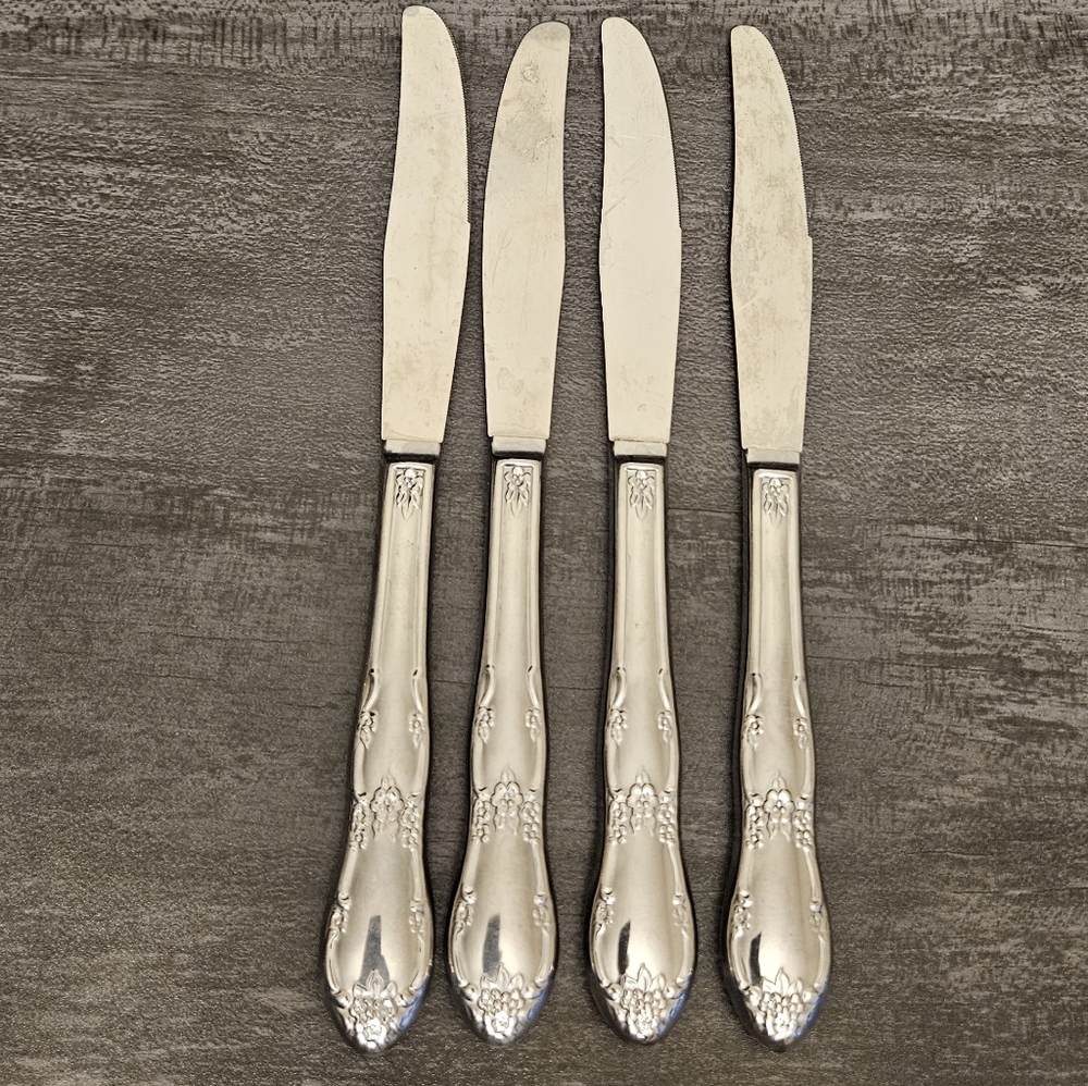 Stainless Steel Daydream Pattern Dinner Knives Set of 4